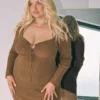 Stassie Mini Dress Brown Curve